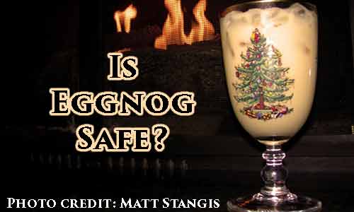 Eggnog and Raw Eggs - Is It Safe To Drink At Rocking Gods House